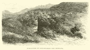 Curiosa van Sacsahuaman, de Chingana